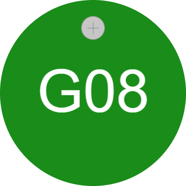 Kundenspezifische grüne Kunststoff-Tag