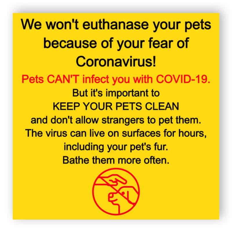 Pets and coronavirus for Veterinary Clinic