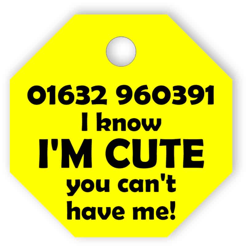 Yellow pet tag