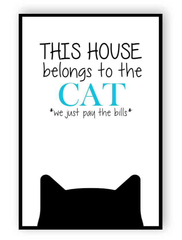 This house belongs to cat sign