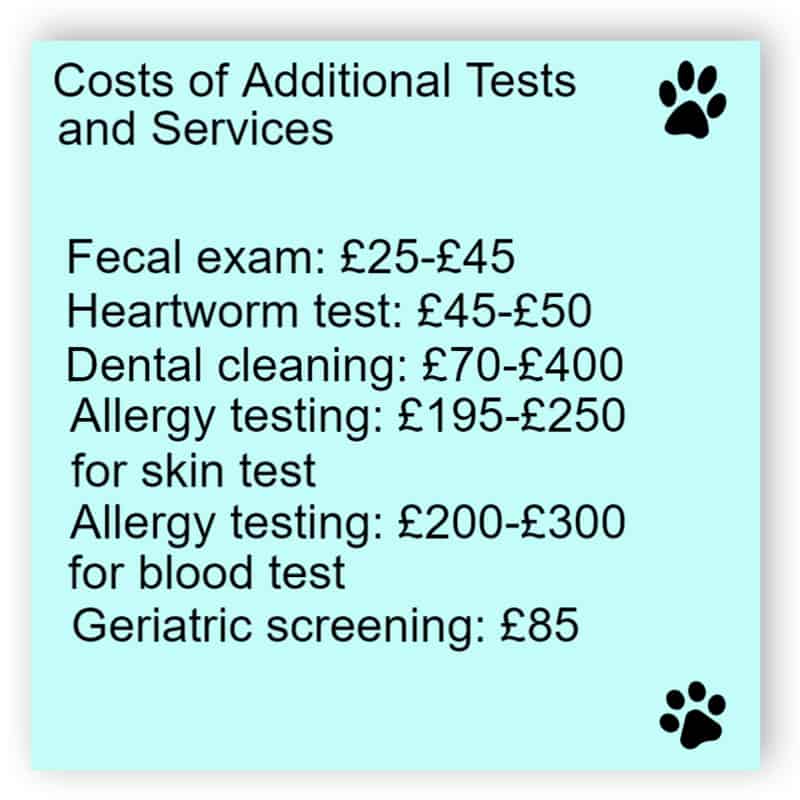 Veterinary service sign