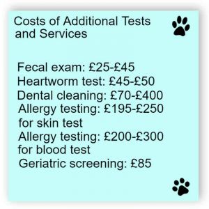 Veterinary service sign
