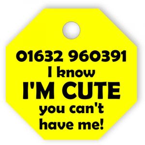 Yellow pet tag