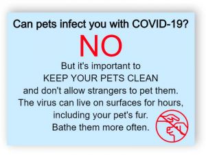 Can pets infect you with covid-19? - plastic sign