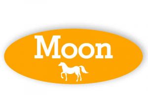 Orange horse name sign